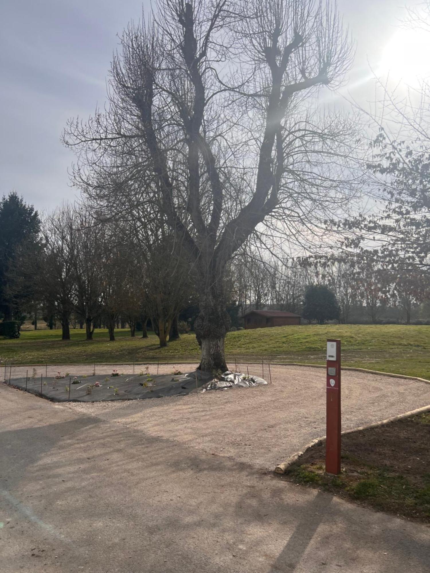 Golf Hotel De La Carte Chouzy-sur-Cisse Dış mekan fotoğraf